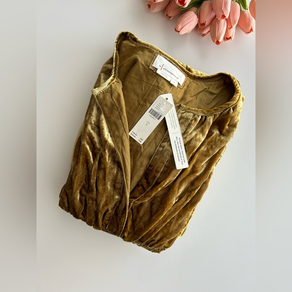 Anthropologie The Somerset maxi dress: velvet edition - Picture 15 of 16